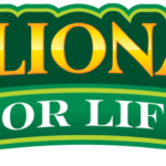 millionaire for life